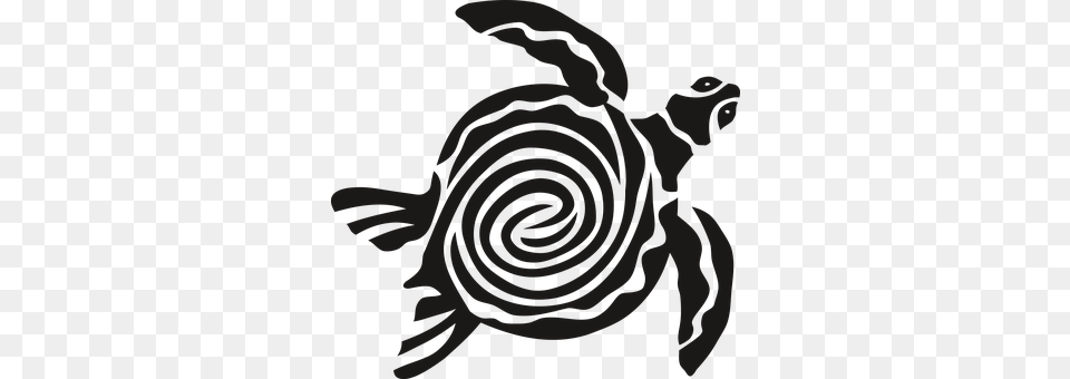 Turtle Spiral, Baby, Person, Food Png