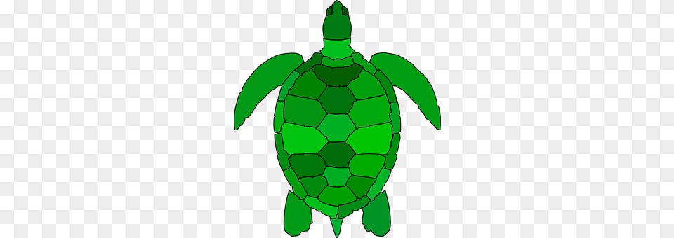 Turtle Animal, Reptile, Sea Life, Sea Turtle Free Transparent Png