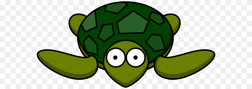 Turtle Ball, Football, Green, Soccer Free Png