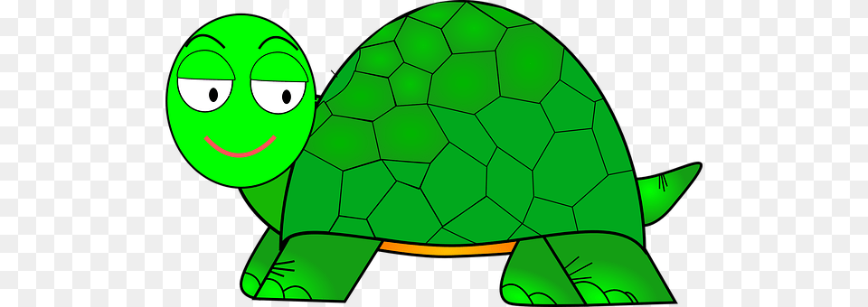 Turtle Green, Animal, Reptile, Sea Life Png