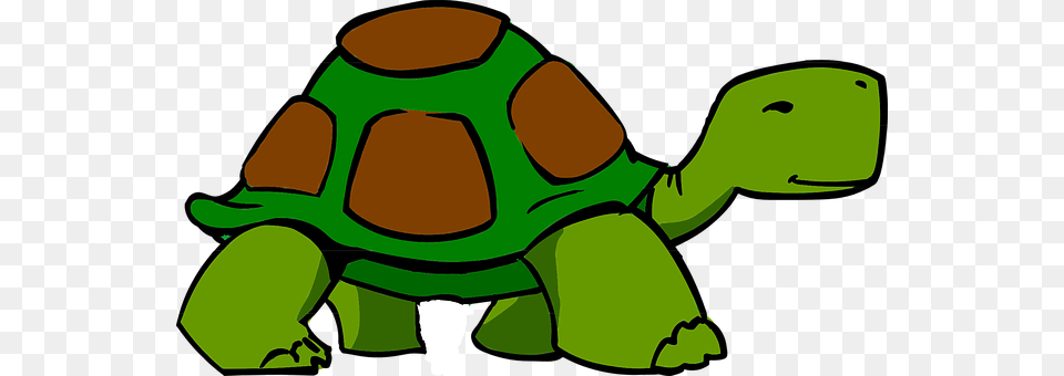 Turtle Animal, Reptile, Sea Life, Tortoise Png