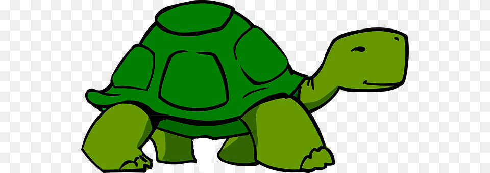 Turtle Animal, Reptile, Sea Life, Tortoise Free Transparent Png