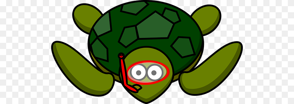 Turtle Ball, Football, Green, Soccer Free Png Download
