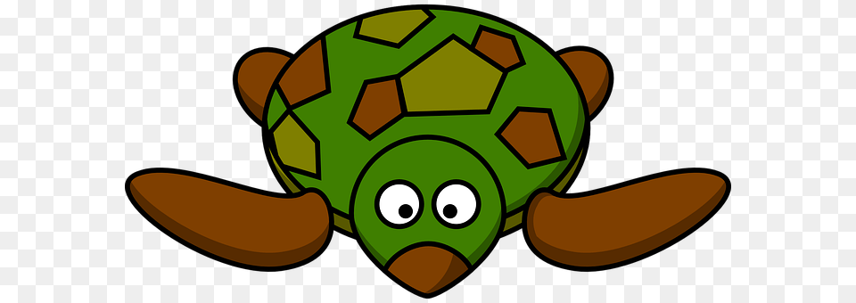 Turtle Ball, Sport, Football, Soccer Ball Png Image