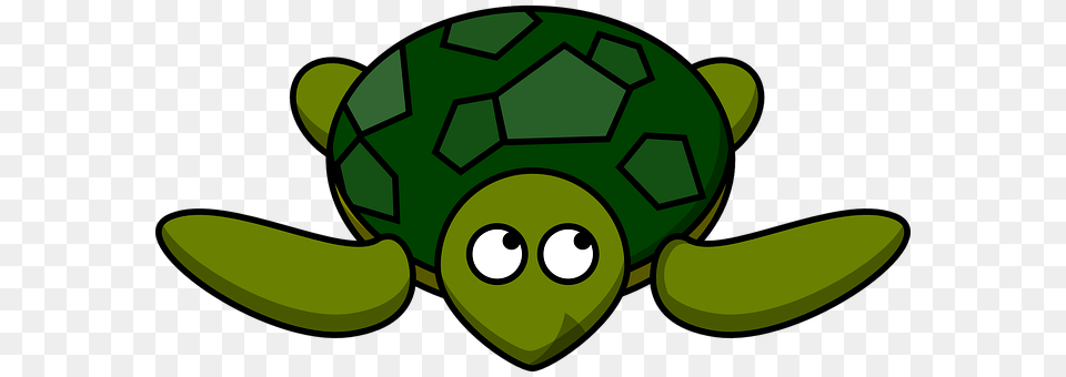 Turtle Ball, Football, Green, Sport Free Png