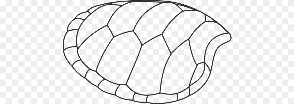 Turtle Ball, Football, Soccer, Soccer Ball Png Image