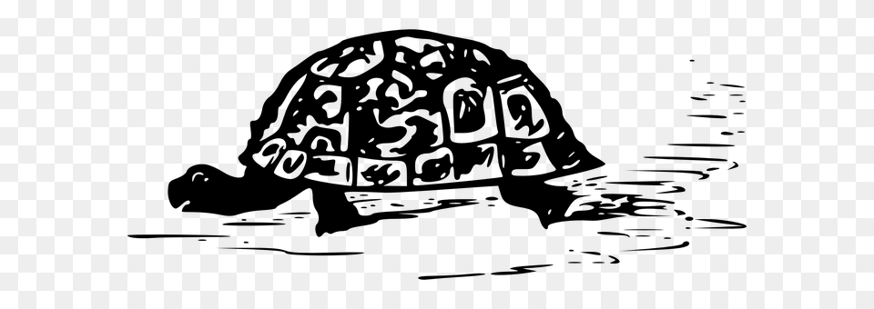 Turtle Gray Free Transparent Png
