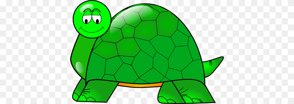 Turtle Green, Animal, Reptile, Sea Life Png
