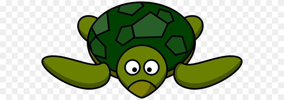 Turtle Ball, Football, Green, Sport Png