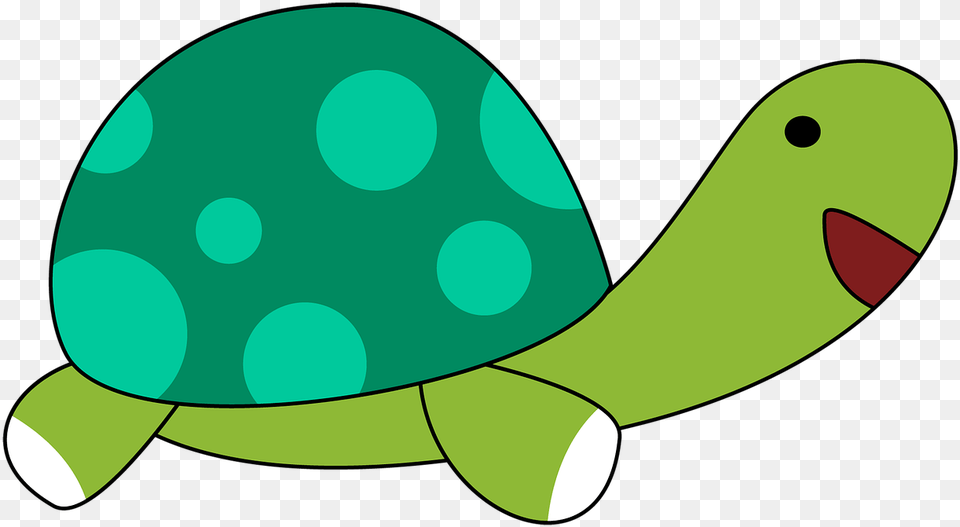 Turtle Animal Cartoon Photo, Reptile, Sea Life, Tortoise, Fish Png