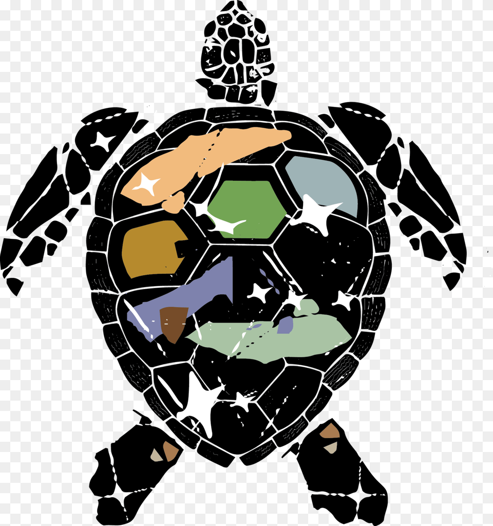 Turtle Art, Adult, Male, Man, Person Free Png