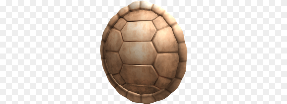 Turtle Back Shell, Ball, Football, Soccer, Soccer Ball Png Image