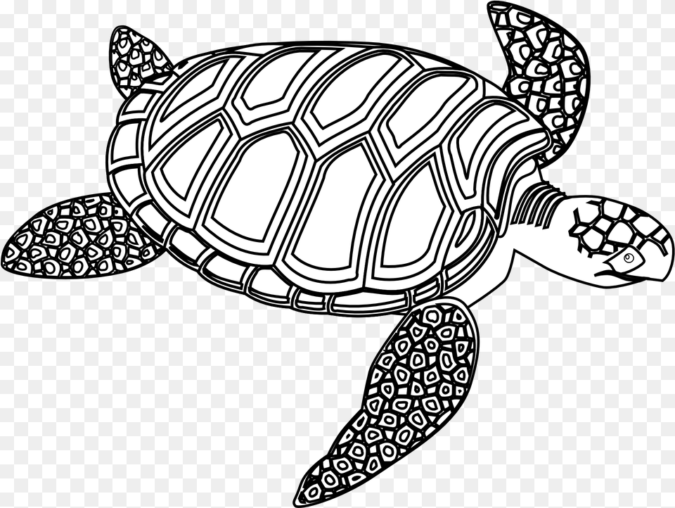 Turtle Black And White, Animal, Reptile, Sea Life, Tortoise Free Png Download