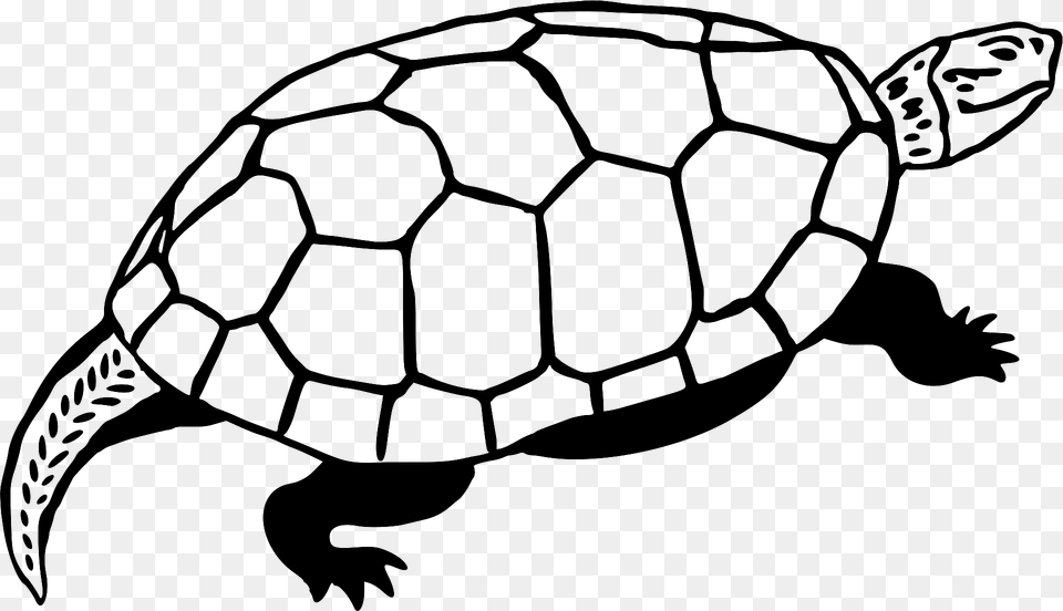 Turtle Black And White Clipart, Animal, Reptile, Sea Life, Tortoise Png