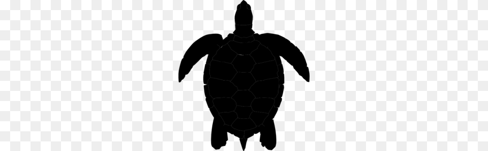 Turtle Black Silhouette Clip Art, Gray Free Png Download