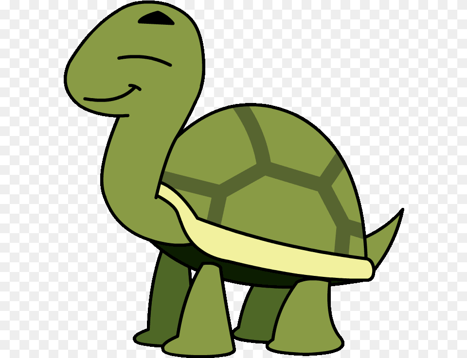 Turtle Cartoon Gif Transparent Clipart, Baby, Person, Animal, Reptile Free Png