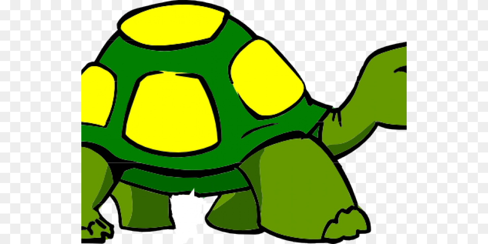 Turtle Cartoon Side View, Animal, Reptile, Sea Life, Tortoise Png