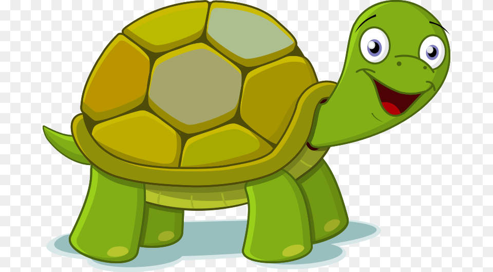 Turtle Clip Art, Animal, Reptile, Sea Life, Tortoise Png