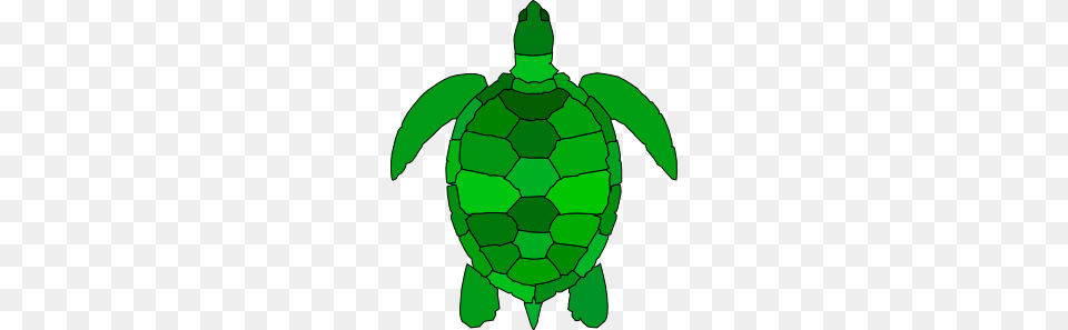 Turtle Clip Art, Animal, Reptile, Sea Life, Sea Turtle Free Png