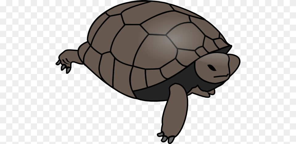 Turtle Clip Art, Animal, Reptile, Sea Life, Tortoise Png Image