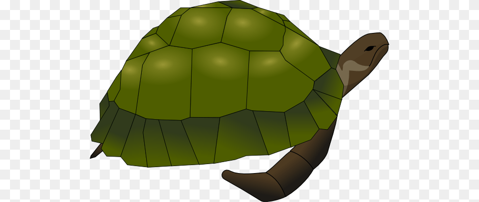 Turtle Clip Art For Web, Animal, Reptile, Sea Life, Tortoise Free Transparent Png