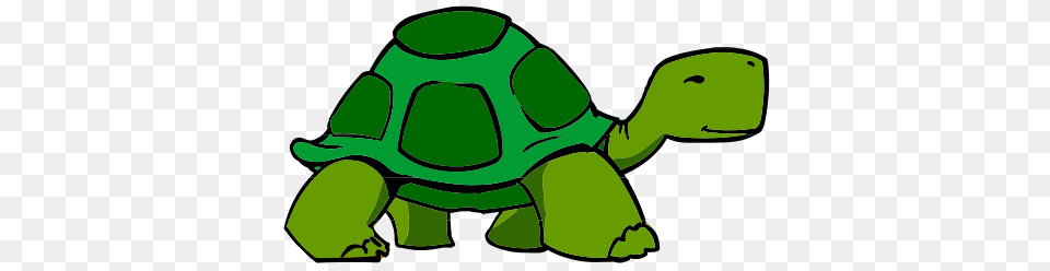 Turtle Clip Art Animal, Reptile, Sea Life, Tortoise Free Transparent Png