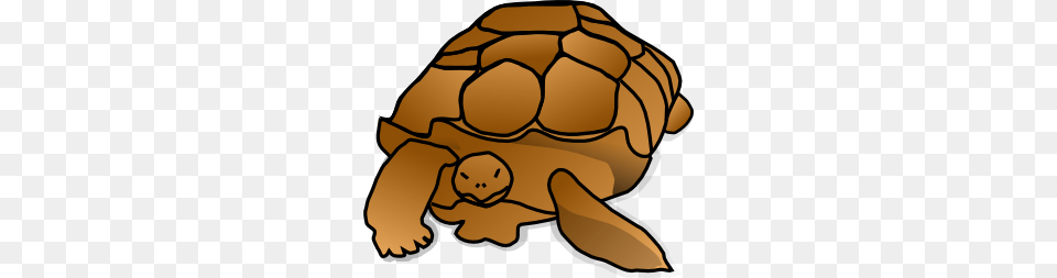 Turtle Clip Art That Is Slow And Steady, Animal, Reptile, Sea Life, Tortoise Free Png Download
