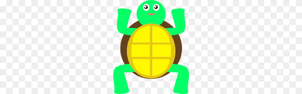 Turtle Clipart, Baby, Person, Face, Head Free Png Download