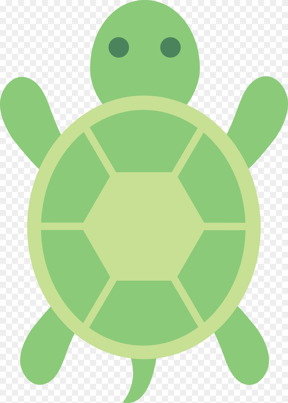 Turtle Clipart, Green Free Png