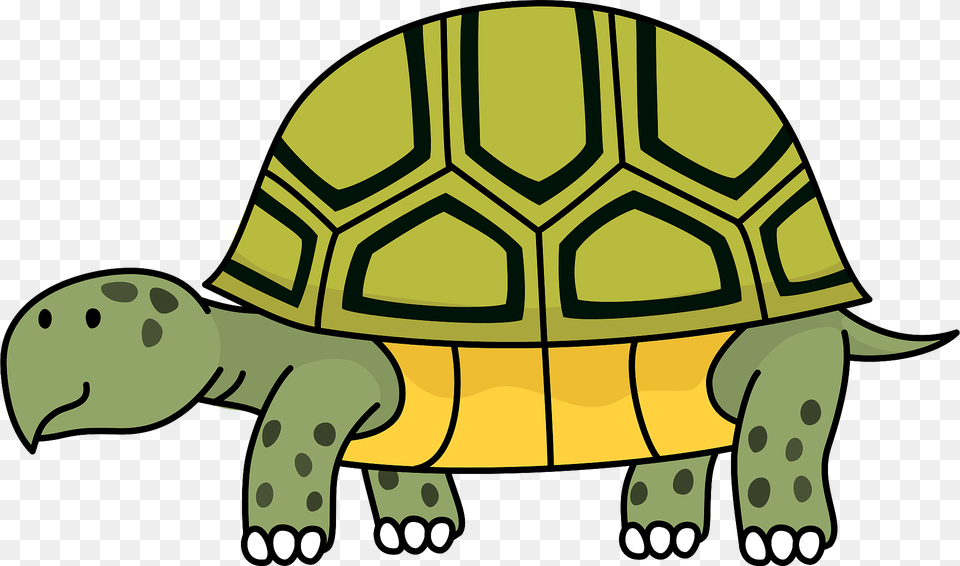 Turtle Clipart, Animal, Reptile, Sea Life, Tortoise Png