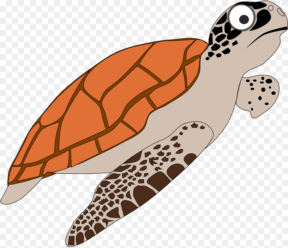 Turtle Clipart, Animal, Sea Turtle, Sea Life, Reptile Free Transparent Png