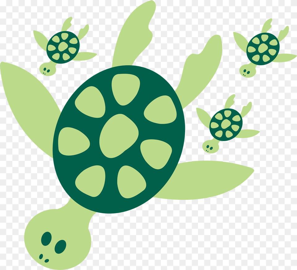 Turtle Clipart, Animal, Reptile, Sea Life, Tortoise Free Transparent Png