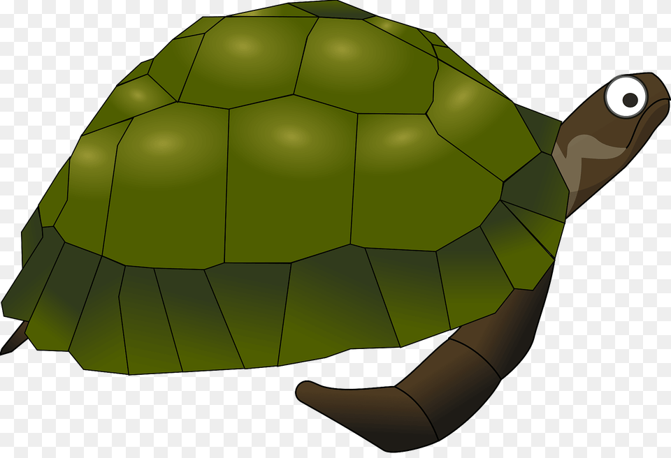 Turtle Clipart, Animal, Reptile, Sea Life, Tortoise Free Png