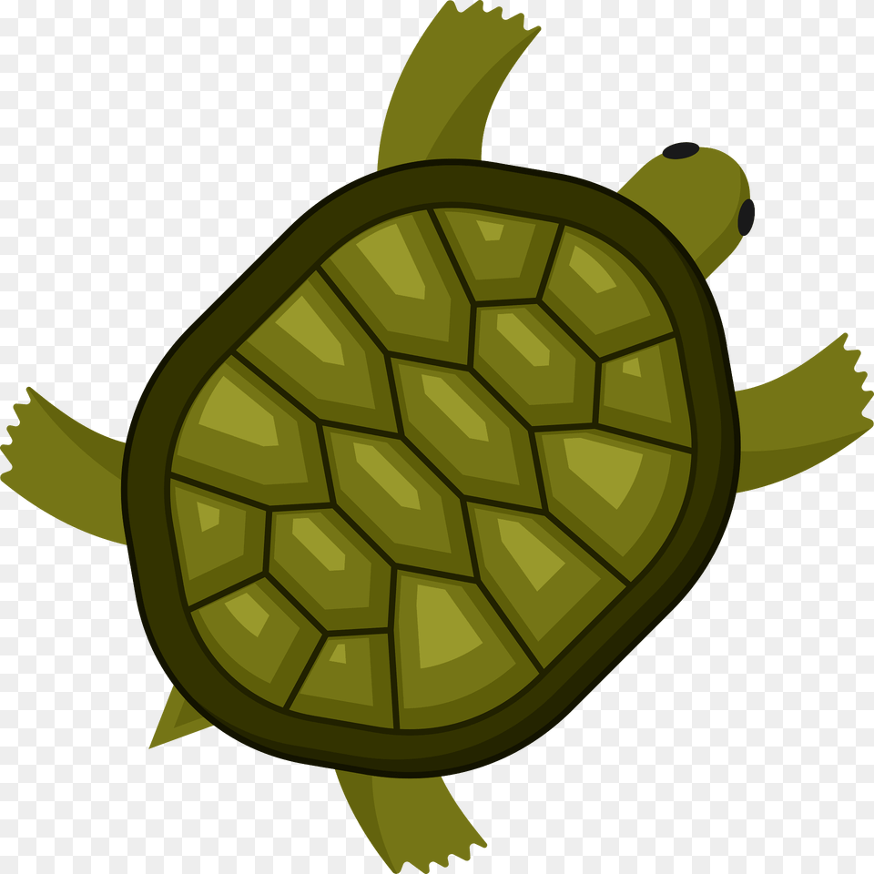 Turtle Clipart, Ammunition, Grenade, Weapon, Animal Png Image