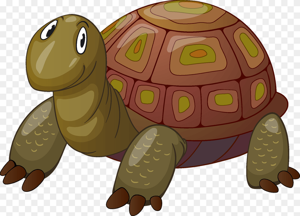 Turtle Clipart, Animal, Reptile, Sea Life, Tortoise Png Image