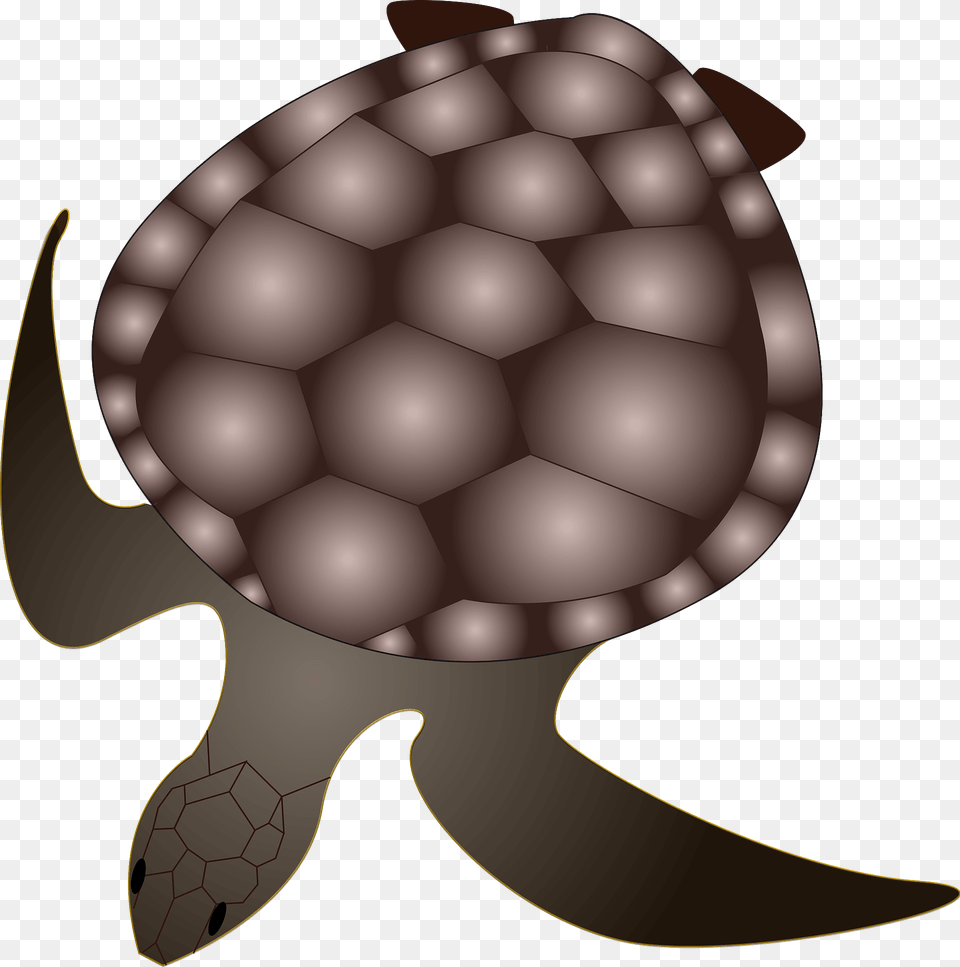 Turtle Clipart, Animal, Reptile, Sea Life, Sea Turtle Png Image