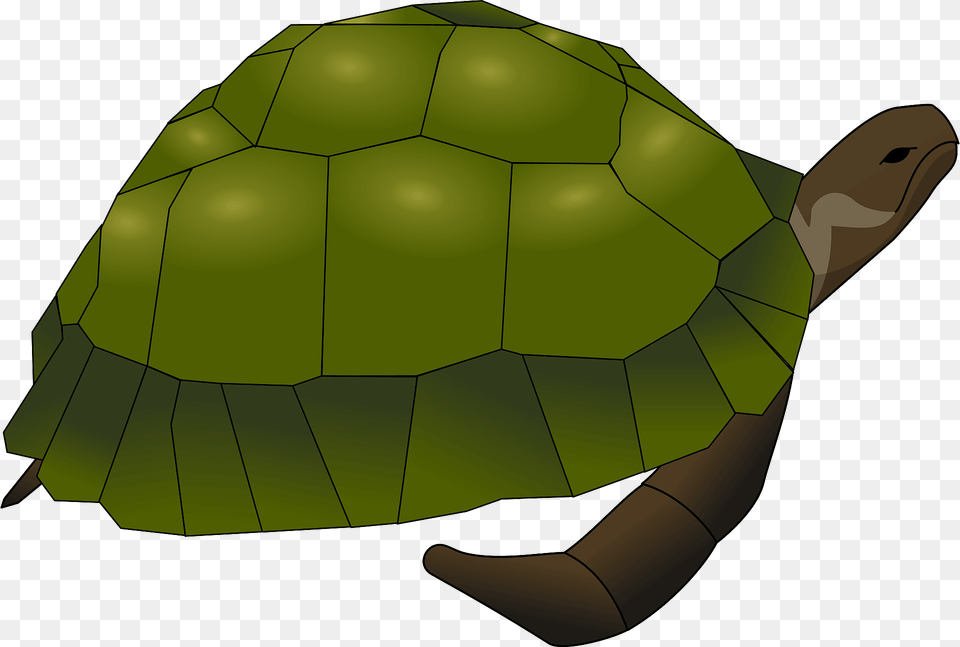 Turtle Clipart, Animal, Reptile, Sea Life, Tortoise Free Png Download