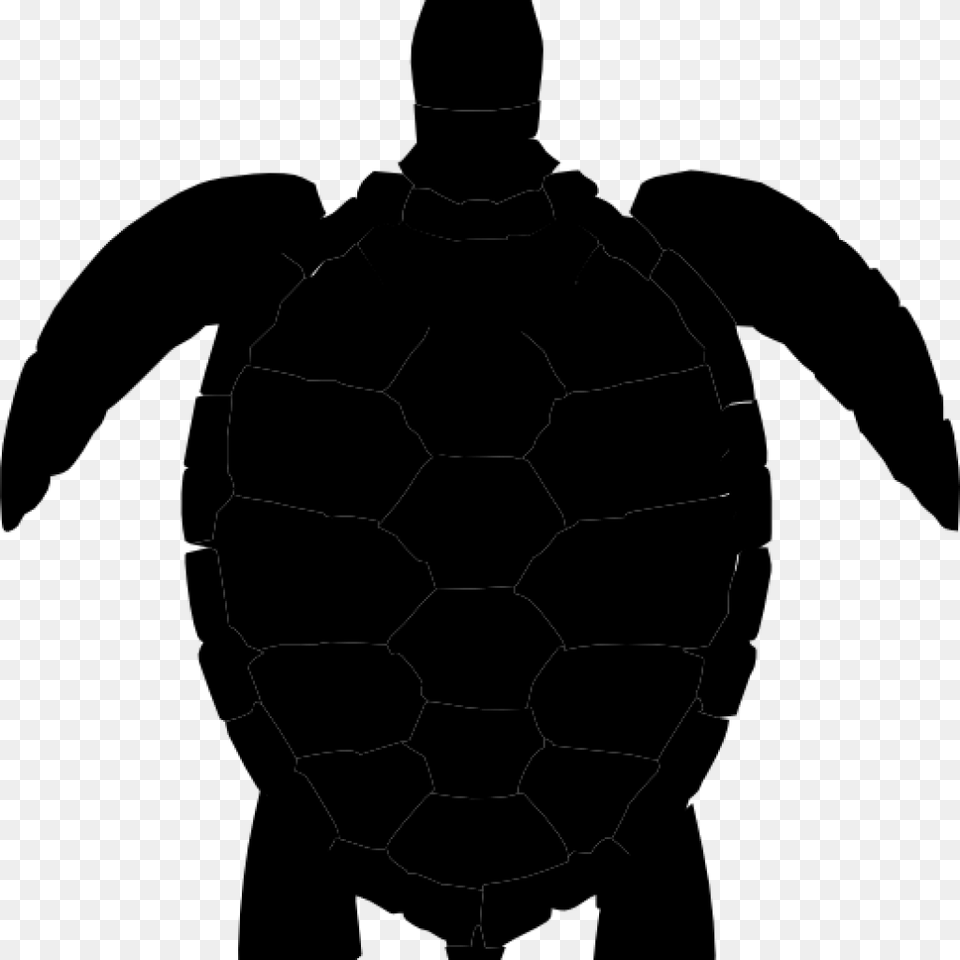 Turtle Clipart Black And White K Clip Art Sea Images Pictures, Gray Png