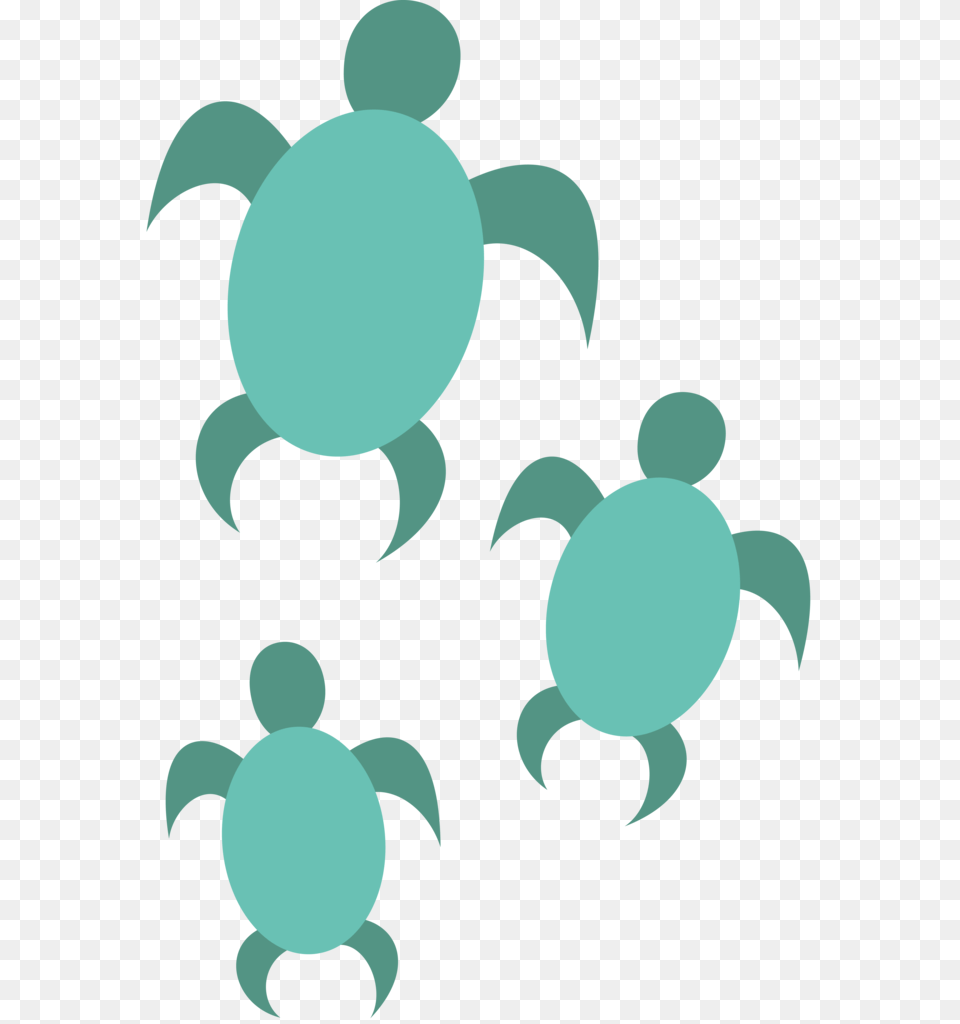 Turtle Clipart Clear Background Clear Background Turtle, Animal, Food, Seafood, Sea Life Png