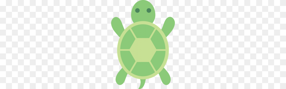 Turtle Clipart Cute Green Turtle Clip Art Clip Art, Baby, Person Free Png