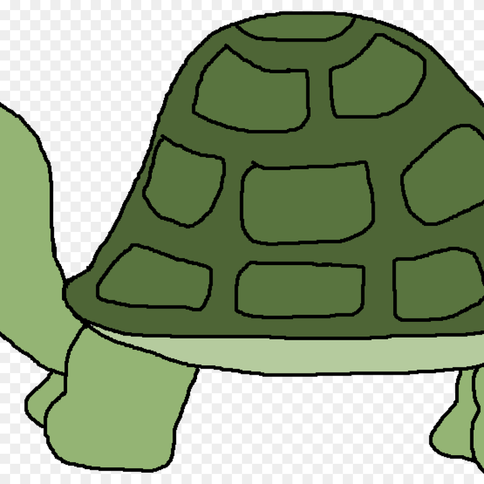 Turtle Clipart Pizza Clipart, Nature, Outdoors, Snow, Baby Png Image