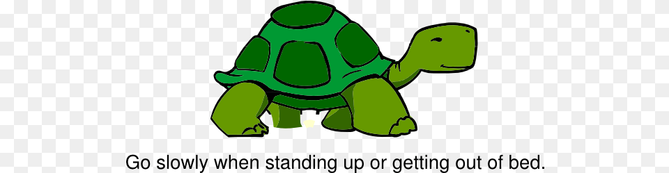 Turtle Clipart Slow Turtle Cartoon Turtle Side View, Animal, Green, Reptile, Sea Life Free Transparent Png