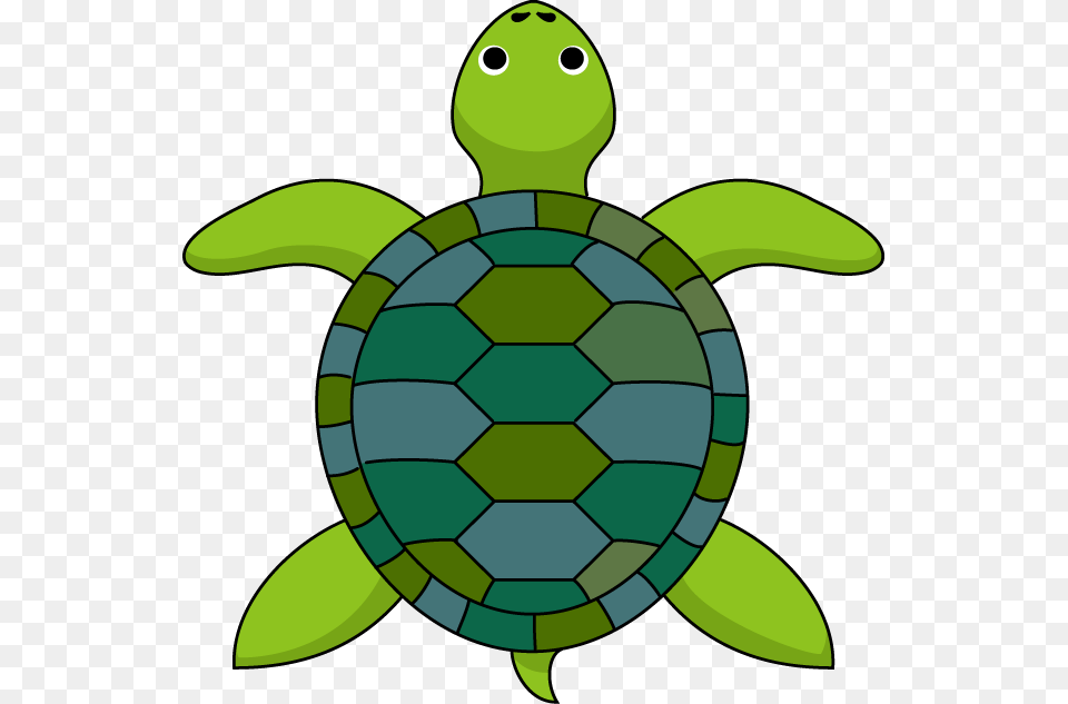 Turtle Clipart Top Turtle Clipart Top View, Animal, Reptile, Sea Life, Sea Turtle Png Image