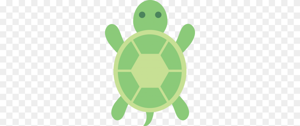 Turtle Clipart Top View, Green, Animal, Reptile, Sea Life Free Transparent Png