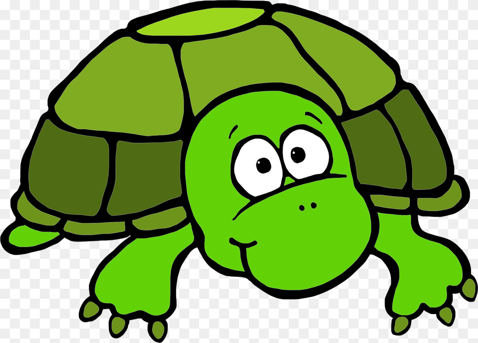 Turtle Clipart Transparent, Animal, Tortoise, Sea Life, Reptile Free Png Download