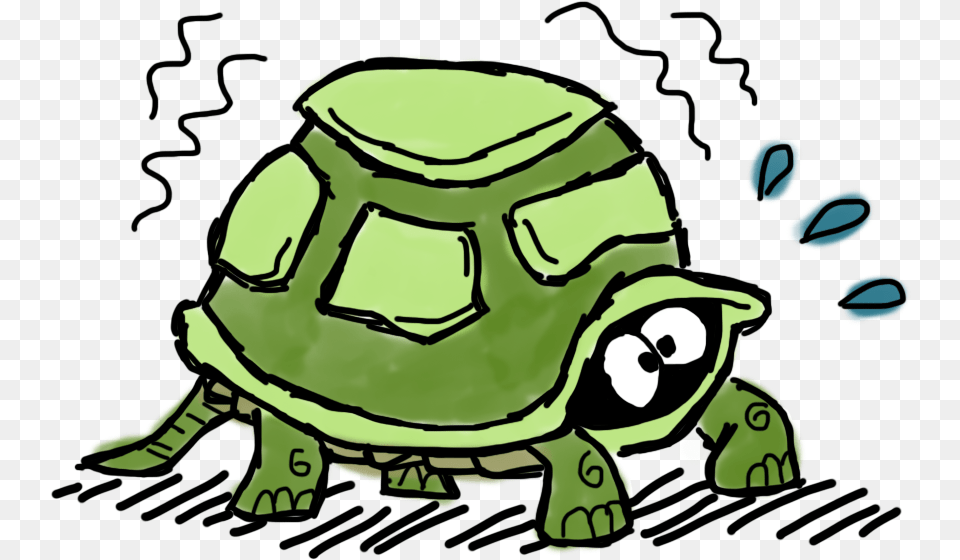 Turtle Coming Out Of Shell Cartoon, Green, Animal, Reptile, Sea Life Free Png