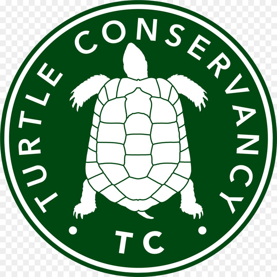 Turtle Conservancy American League Champs 2019, Animal, Reptile, Sea Life, Logo Free Png