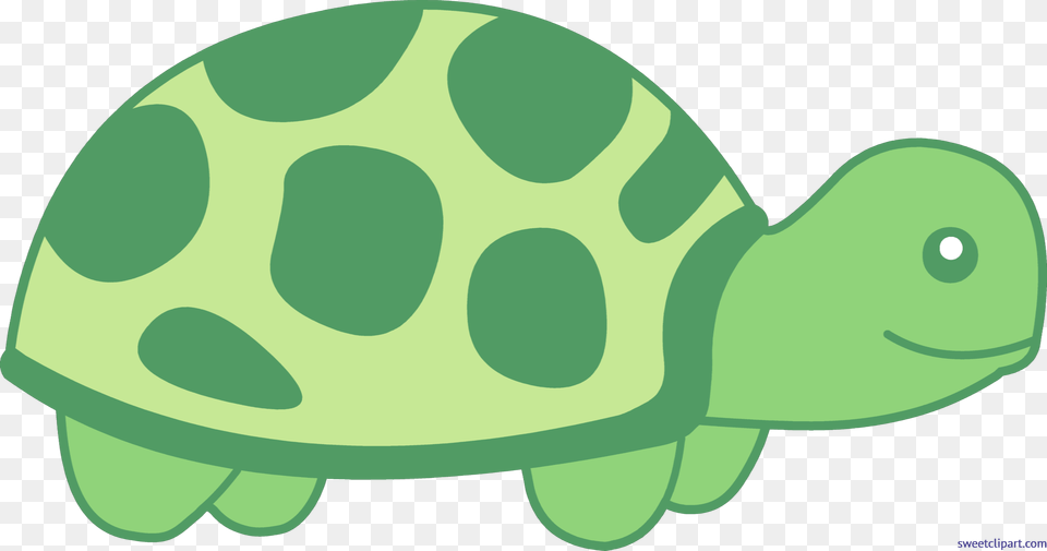 Turtle Cute Clip Art, Animal, Reptile, Sea Life, Tortoise Png Image