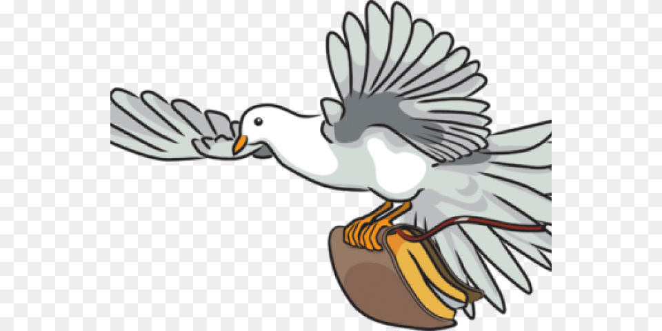 Turtle Dove Clipart Bible, Animal, Bird, Pigeon, Waterfowl Png