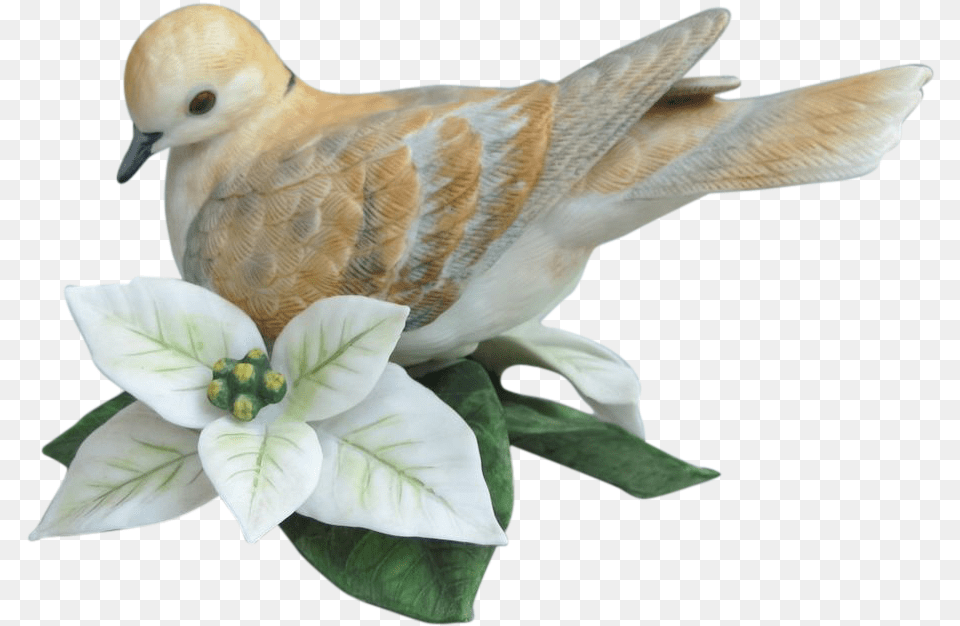 Turtle Doves For Download Turtle Dove, Animal, Bird, Pigeon, Flower Free Png